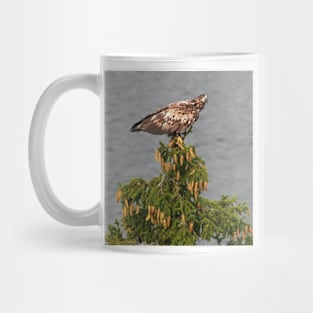 White tailed Eagle Mug